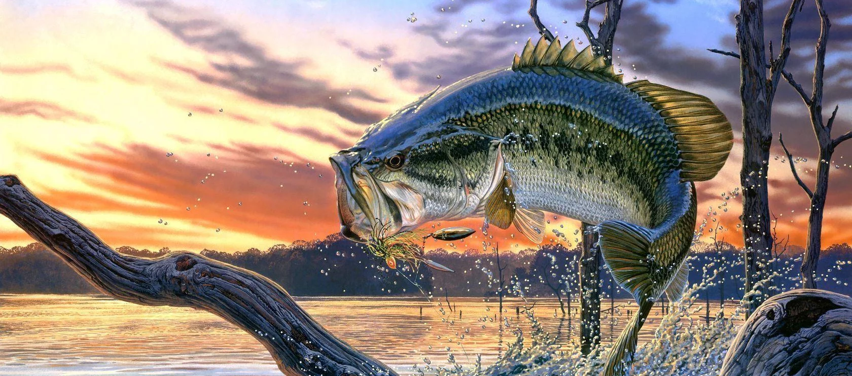 A Catfish